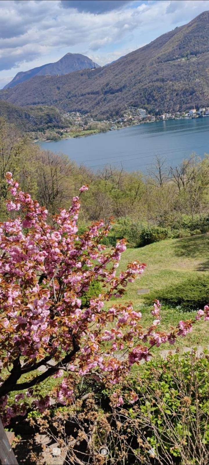 La Finestra Sul Lago Bed & Breakfast Brusimpiano Exterior photo